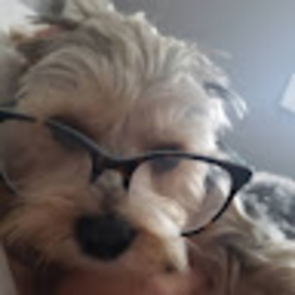 Meet your Posher, Teagan